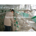 Low Price Pigeon Cage